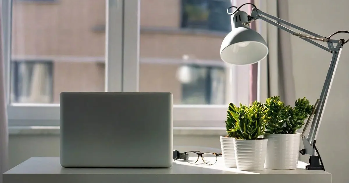 Benefits of Indoor Plants for Offices