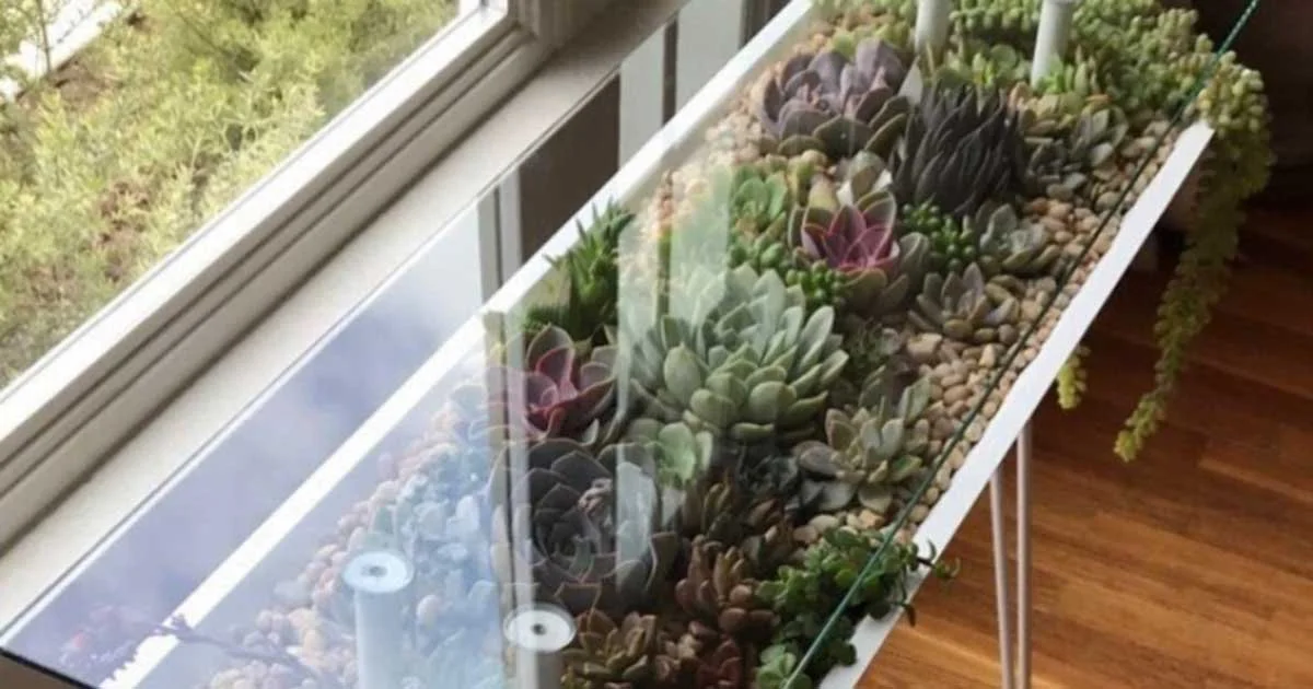 BloomingTables: A Unique Way to Display Your Plants