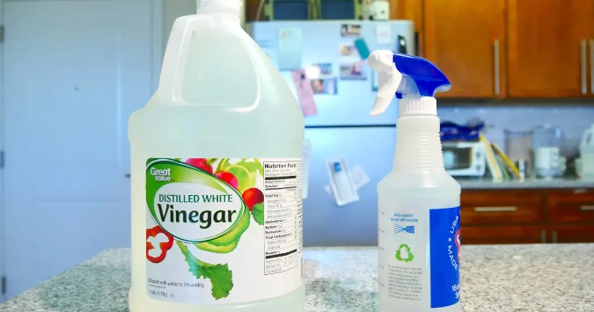 Difference Between Cleaning Vinegar and White Vinegar