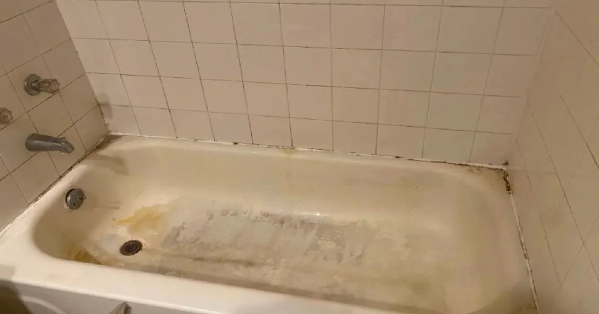 How Often Should You Clean Your Bathtub or Shower?