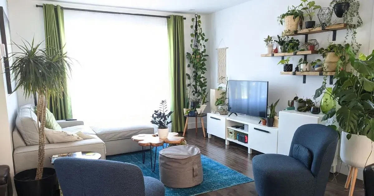 Indoor Plant Care Guide