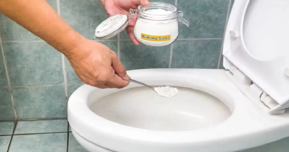 How to Remove Urine Odors From Your Bathroom and Keep It Smelling Fresh