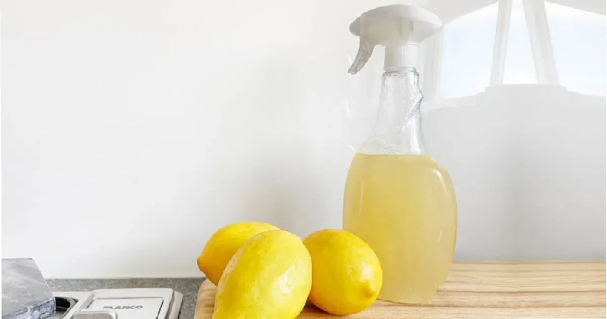 Simple Tips to Clean the House