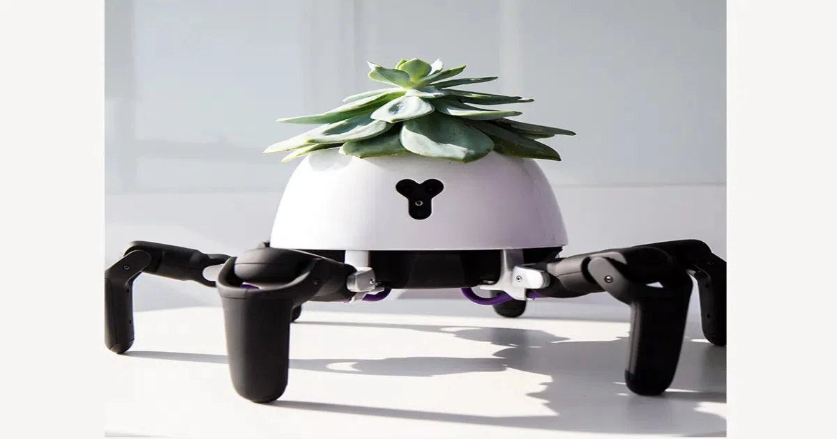 Sun-Tracking Robot Planter