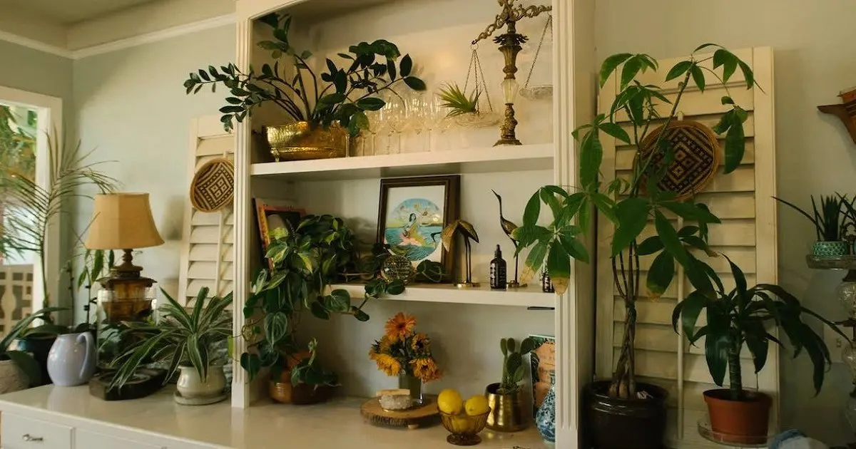 Unusual Houseplants to Impress Guests