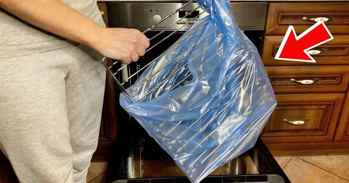 Why People Put Dishwasher Tablets in Garbage Bags