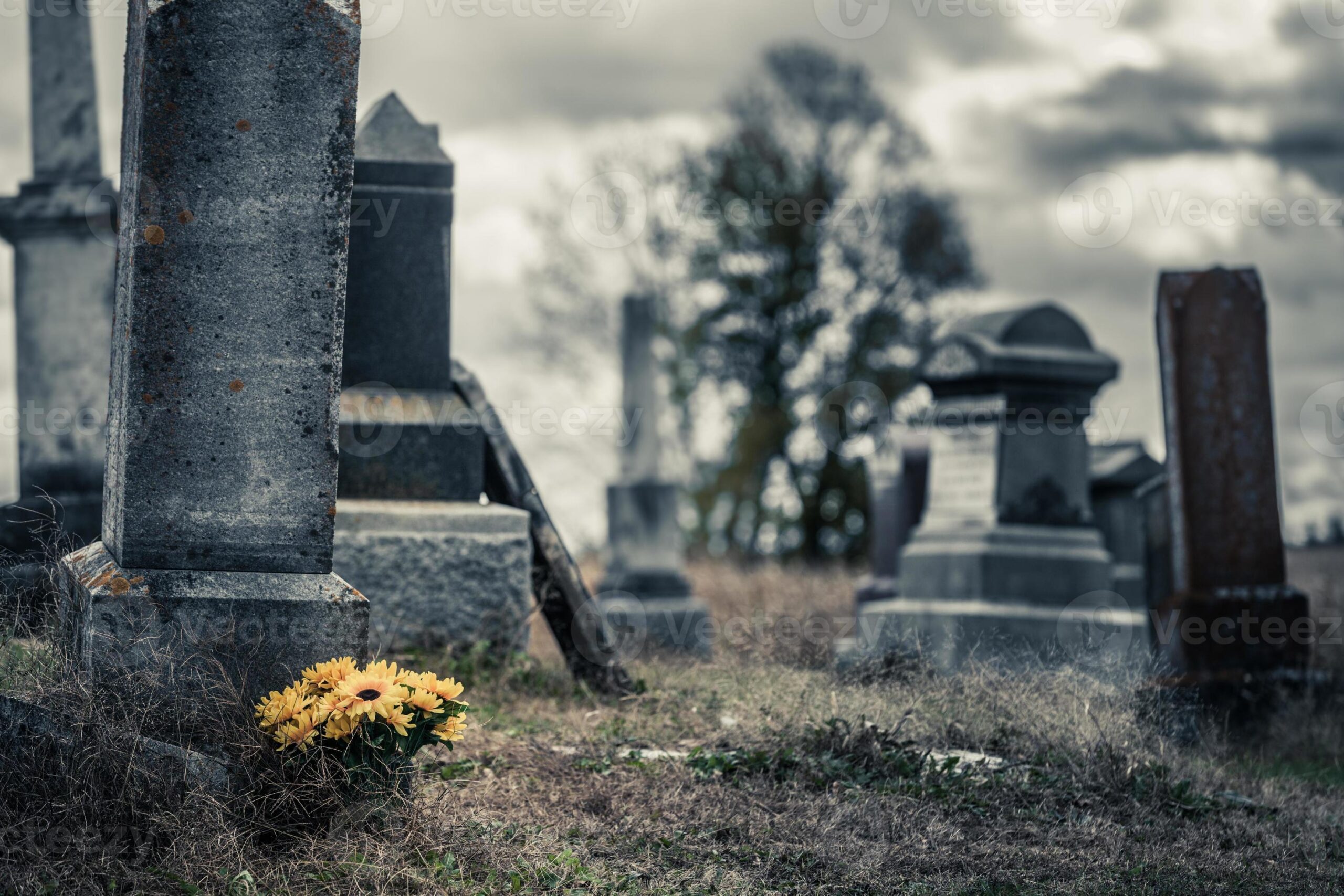Widower Follows Girl to Wife’s Grave. the Letter Dated 18 Years Ago Shatters Him