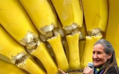 14 Unexpected Facts About Bananas That Make This Everyday Fruit More Interesting