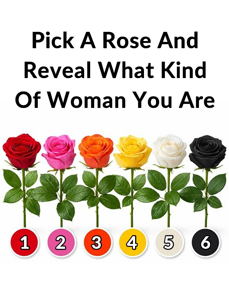 Pick a Rose and Discover What Your Choice Might Say About You