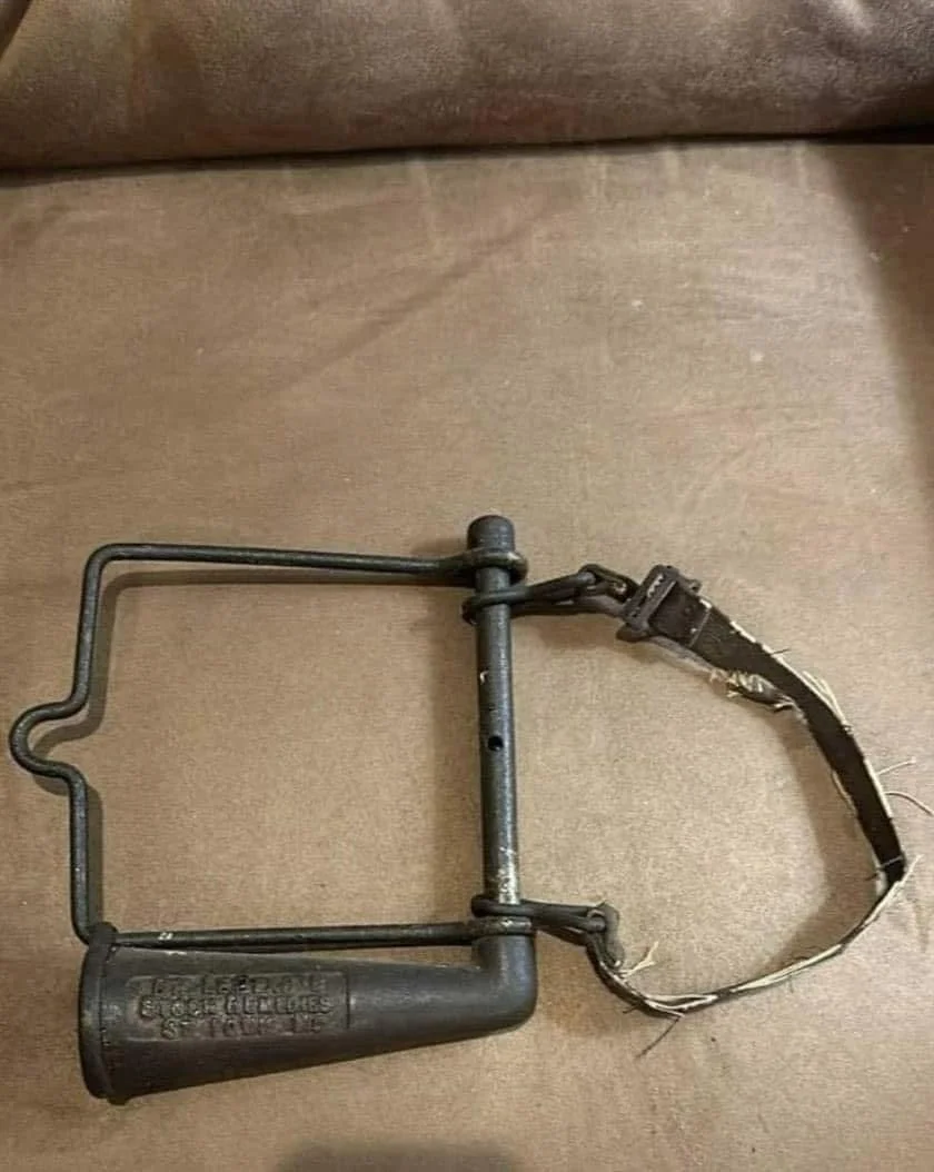 Antique Horse Drencher: What This Strange Tool Was Really Used For