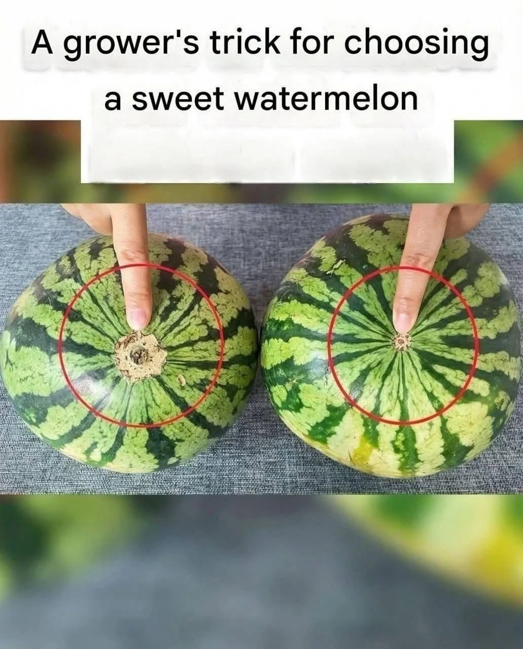 How to Pick a Sweet, Juicy Watermelon: 7 Signs to Check Before You Buy